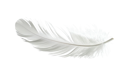 A single, pristine white feather isolated against a stark black background