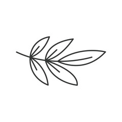 A sprig with five outlined leaves branching from a stem