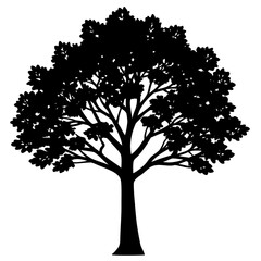 silhouette of tree on white background
