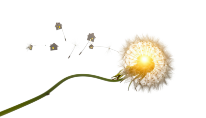 A dandelion seed head with seeds flying away, glowing center, and a long, green stem