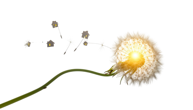 A dandelion seed head with seeds flying away, glowing center, and a long, green stem