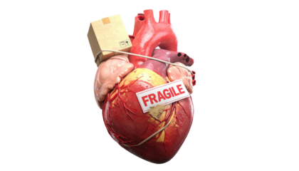 A realistic human heart illustration featuring a small cardboard box and a 'Fragile' label
