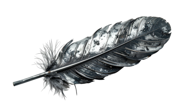 A close-up studio shot depicts a silver feather against a stark, black background