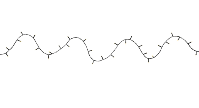 A string of tiny white lights illuminated against a deep black background creating a festive and magical atmosphere