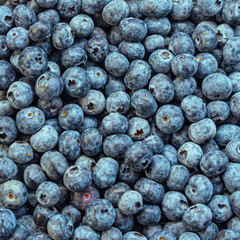 Close-up overhead view of fresh, ripe blueberries with natural white bloom coating. The berries are tightly packed together, showcasing their deep blue-purple color, smooth round shape