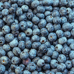 Close-up overhead view of fresh, ripe blueberries with natural white bloom coating. The berries are tightly packed together, showcasing their deep blue-purple color, smooth round shape