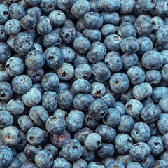 Close-up overhead view of fresh, ripe blueberries with natural white bloom coating. The berries are tightly packed together, showcasing their deep blue-purple color, smooth round shape