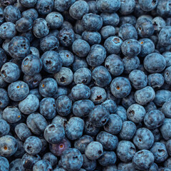 Close-up overhead view of fresh, ripe blueberries with natural white bloom coating. The berries are tightly packed together, showcasing their deep blue-purple color, smooth round shape