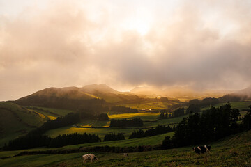 São Jorge island landscapes, Azores archipelago, travel and explore Portugal.