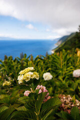 São Jorge island landscapes, Azores archipelago, travel and explore Portugal.
