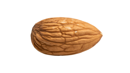 Single whole walnut with detailed textured shell isolated on black, perfect for healthy eating and culinary projects.