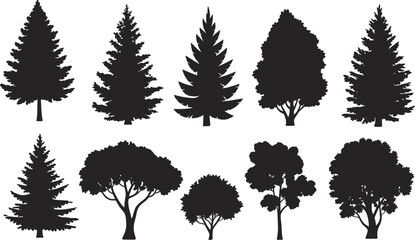 Flat vector silhouette set of coniferous and deciduous trees, forest elements, botanical illustration, nature landscape, foliage design, black graphic © MD