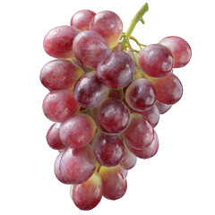 Bunch of Red Grapes with Water Droplets Isolated on Black Keywords: grapes, red, bunch, fruit, food isolated on a transparent background