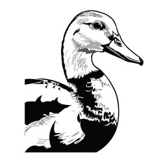 Duck Vector Art Design