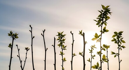 random twigs and branches, some short and some long, surrounded by soft open sky space, new green spring leaves, sunlight streaming softly through, pastel tones