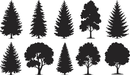 Flat vector silhouette set of coniferous and deciduous trees, forest elements, nature landscape, botanical illustration, foliage design, black graphic © MD