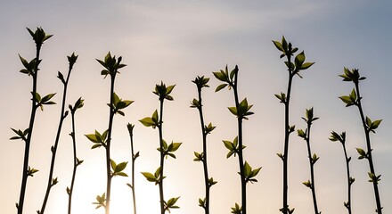 random twigs and branches, some short and some long, surrounded by soft open sky space, new green spring leaves, sunlight streaming softly through