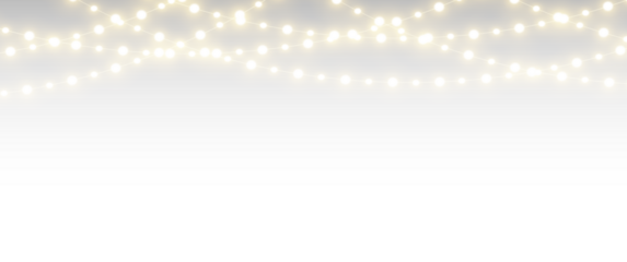 Festive Light Decoration
