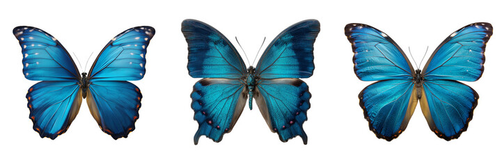Set of Blue butterfly on transparent png background. Ai generated