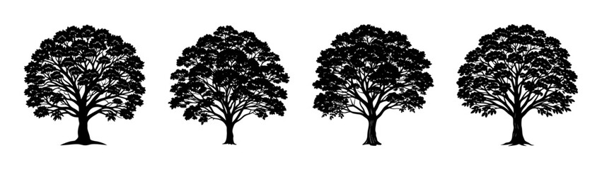 Obraz premium Black and white tree silhouette vector illustration, forest landscape design element, nature trees art