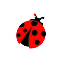 Obraz premium Delightful ladybug illustration with vibrant red and black spots, perfect for spring designs and children's themes, adding a touch of nature-inspired charm