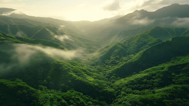 Breathtaking aerial view of lush green tropical mountains, dense forest, and verdant valleys covered in morning mist and sunlight.