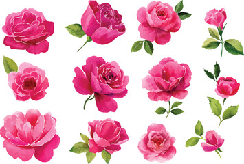 seamless pattern with pink roses