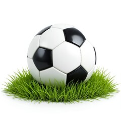 Soccer ball on green grass.
