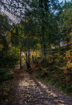 Chemin empierr&eacute; du col du Donon &agrave; Grandfontaine, Alsace, France