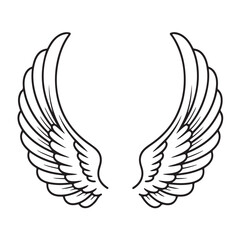 A pair of angel wings isolated on white background, a symbol of spirituality and freedom in the heavens