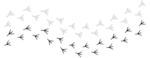 Obraz premium Bird footprints icon - Bird Trail Stock Illustrations vector