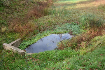 Saint-Herblain - Bassin de rétention des eaux pluviales - Niveau novembre 2025