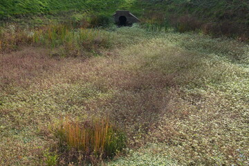 Saint-Herblain - Bassin de rétention des eaux pluviales - Niveau novembre 2025