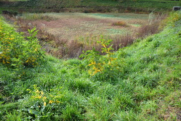 Saint-Herblain - Bassin de rétention des eaux pluviales - Niveau novembre 2025