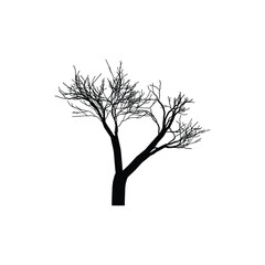 Bare tree silhouette isolated on white background artistic winter graphic