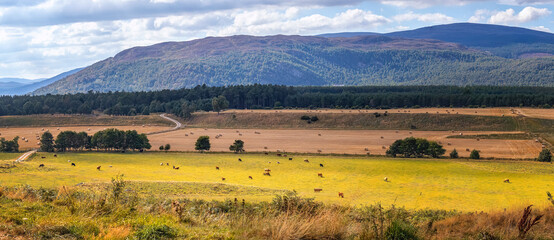 romantische Tallandschaft