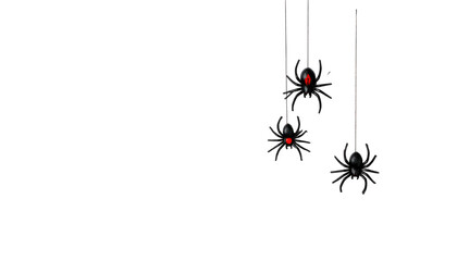 Three dangling glossy black spiders with red eyes, hanging from strings against a stark black backdrop