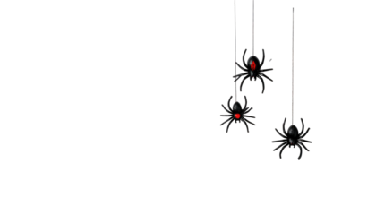 Three dangling glossy black spiders with red eyes, hanging from strings against a stark black backdrop