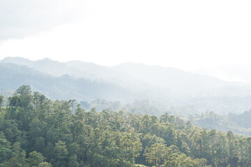View of forested mountain landscape with misty atmosphere during sunset or sunrise