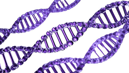 3D-rendered illustration of multiple overlapping DNA strands, purple and glossy