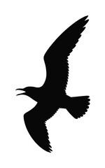 Silhouette of a seagull in flight with open beak