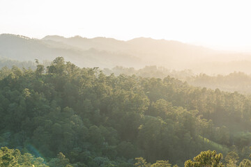 View of forested mountain landscape with misty atmosphere during sunset or sunrise