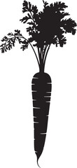 Fresh carrot with green leaves silhouette on white background