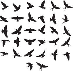 Fototapeta premium Flying Birds Silhouette Sheet (20 unique)