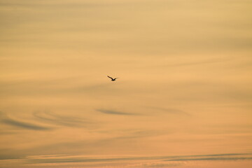 Abendstimmung an der Küste