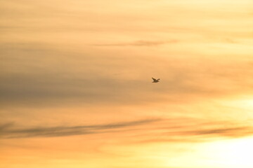 Abendstimmung an der Küste