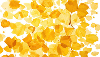 Golden-hued, layered petals against a void, creating abstract patterns and textures