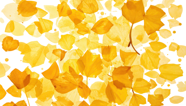 Golden-hued, layered petals against a void, creating abstract patterns and textures
