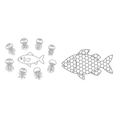 Two fish illustrations with jellyfish for ocean conservation