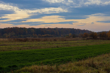 Fototapeta premium ​A wide landscape captures the diversity of rural farmland with a vibrant green field in the foreground, transitioning to drier grass and a backdrop of autumn forest on the horizon.